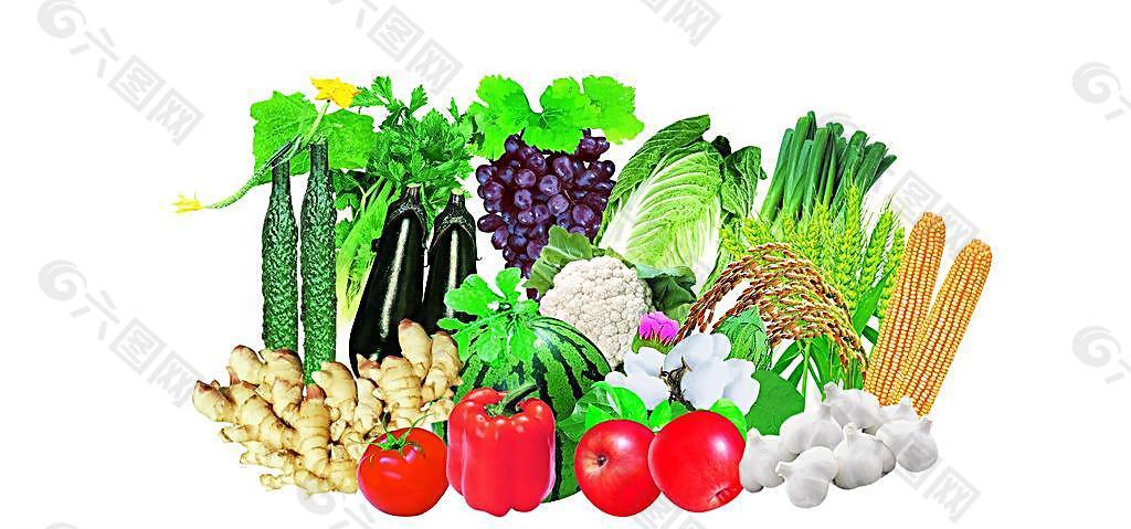 水果蔬菜组合图片