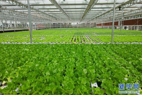 科技兴渔 现代水产养殖技术激活梁平渔业一池春水