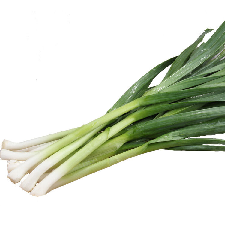 彩虹云宝 新鲜有机蔬菜 青蒜苗 250g 多省满百包邮