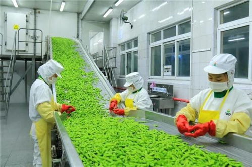 四问富民乡村产业 精深加工如何拓展农产品增值空间