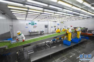 浙江慈溪推进高效集约现代农业发展