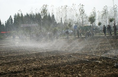 广西蔬菜大棚微喷头厂家|微喷头供应图片|广西蔬菜大棚微喷头厂家|微喷头供应产品图片由河北润田节水设备公司生产提供-