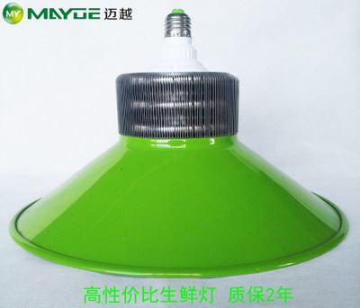 工矿灯/生鲜灯套件：专业猪肉灯外壳，提升生鲜展示照明效果