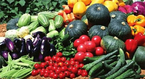 农业农村部关于修订完善农产品质量安全法健全蔬菜食品安全源头保障机制建议的答复