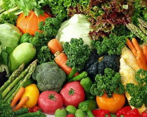 加盟砚祥有机蔬菜 把握绿色健康商机