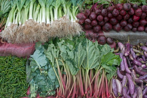 蔬菜的分类及其多样性