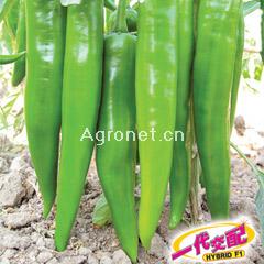 蔬菜与个人健康 如何善用蔬菜网产品库打造均衡饮食