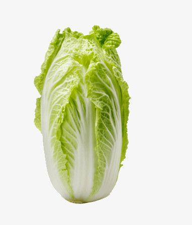 绿色餐桌的艺术 图精灵免费蔬菜图片精选与创意应用