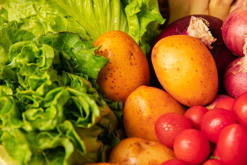 鲜·活 有机蔬菜在镜头下的自然之美