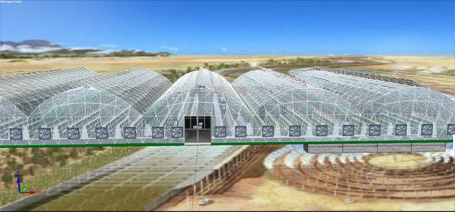 构建高效可持续的2400平方米加强型联体拱式鸟巢雾培蔬菜工厂设计探索