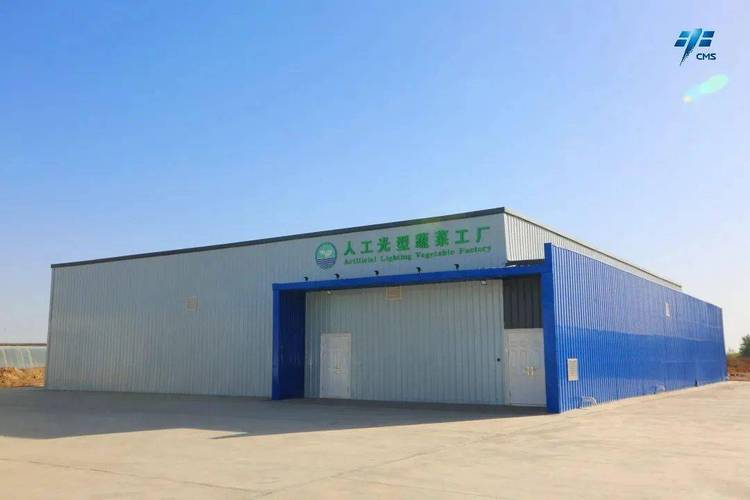 蔬菜工厂 在酒泉卫星发射中心寻找‘绿洲’
